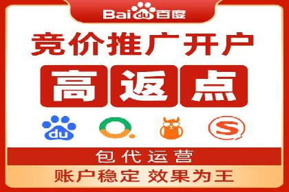 揭秘百度竞价排名：实战案例解析